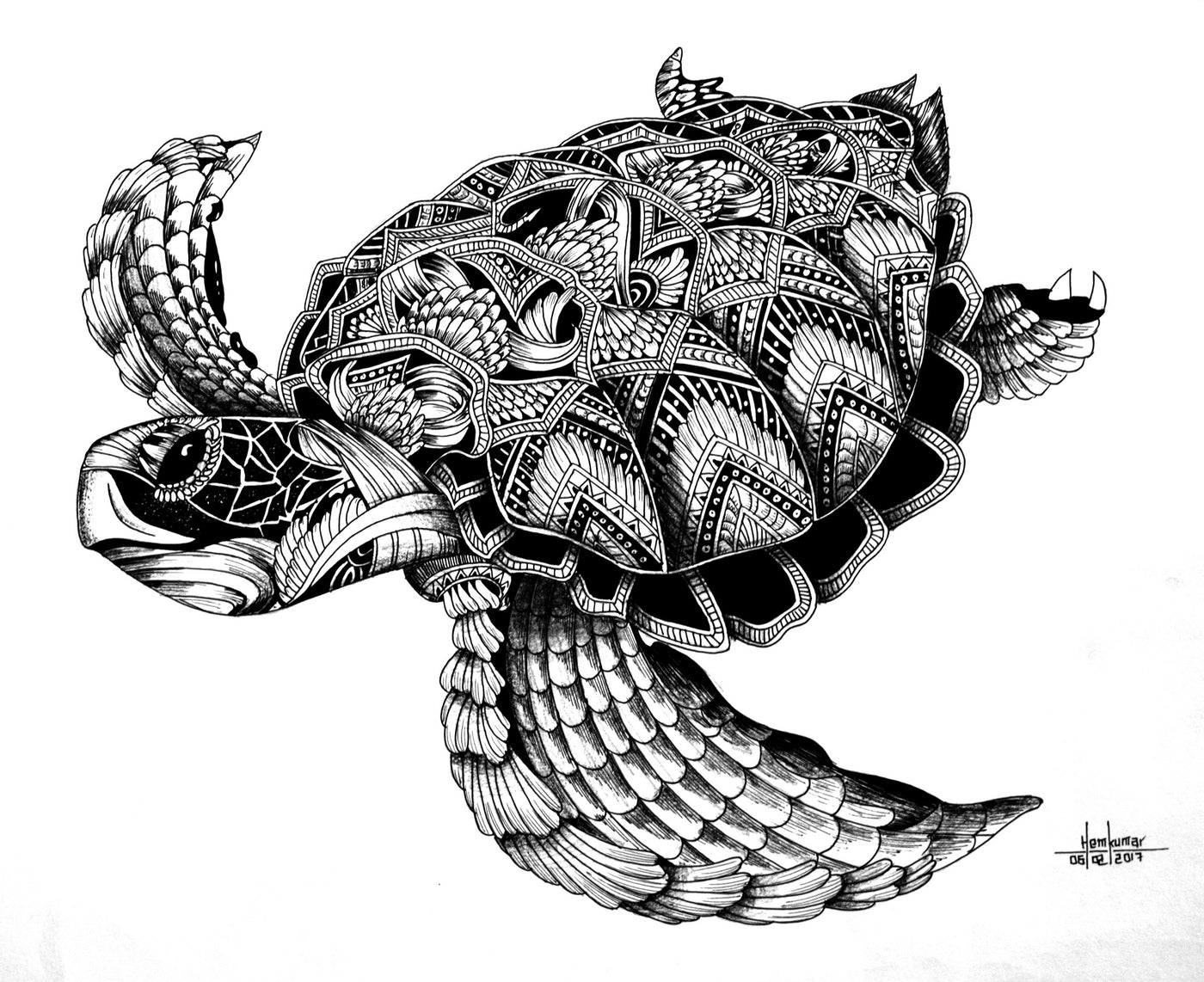 Tortoise