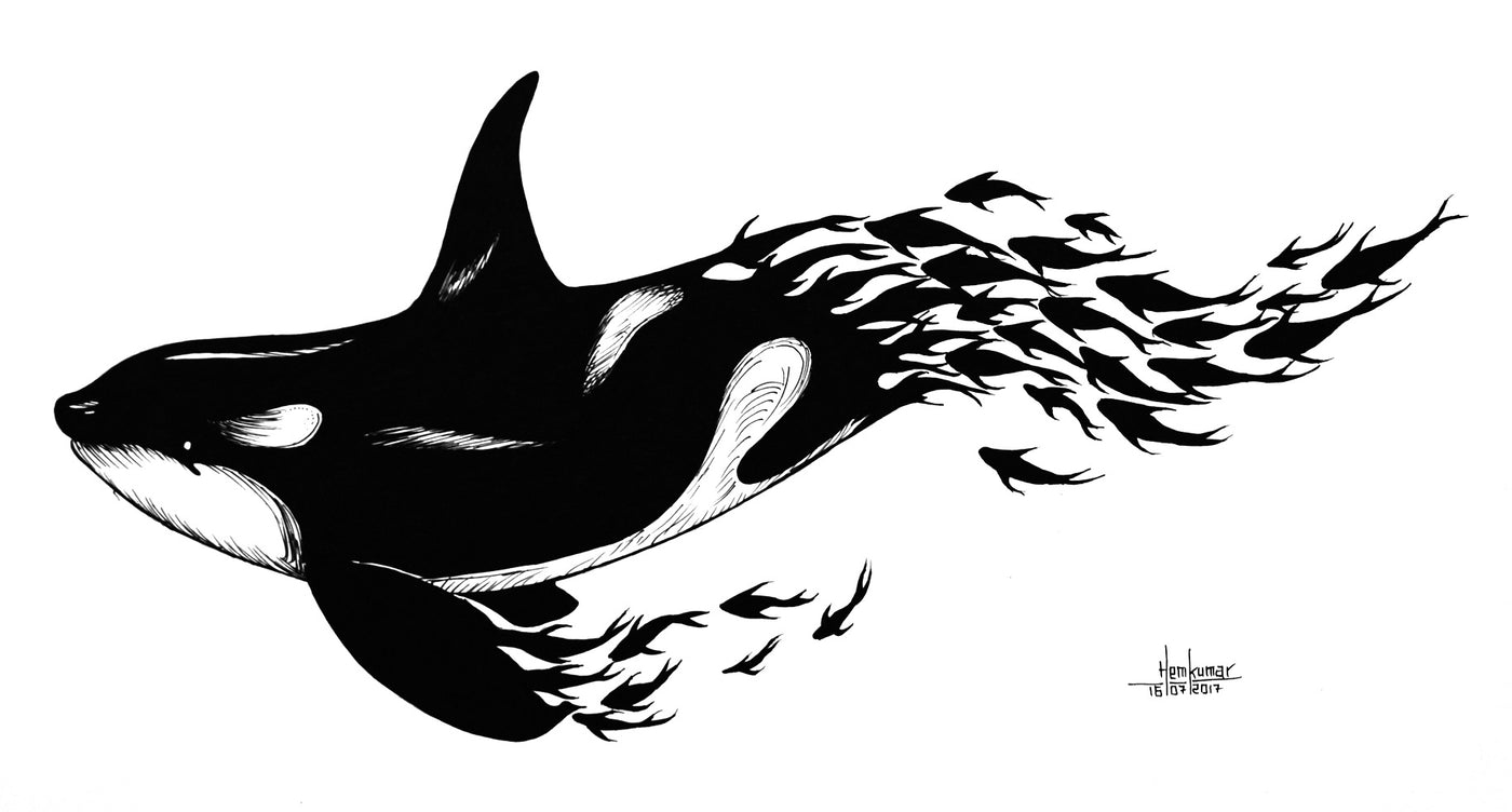 Dolphin