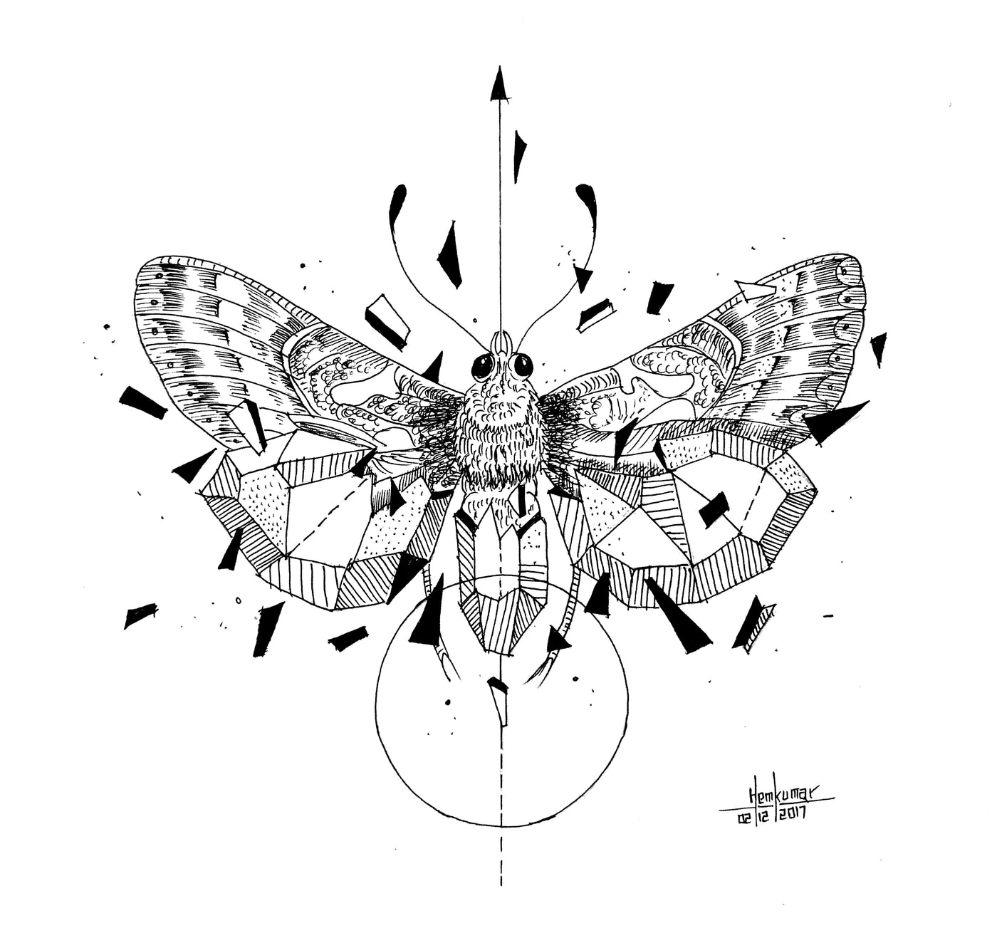 Butterfly