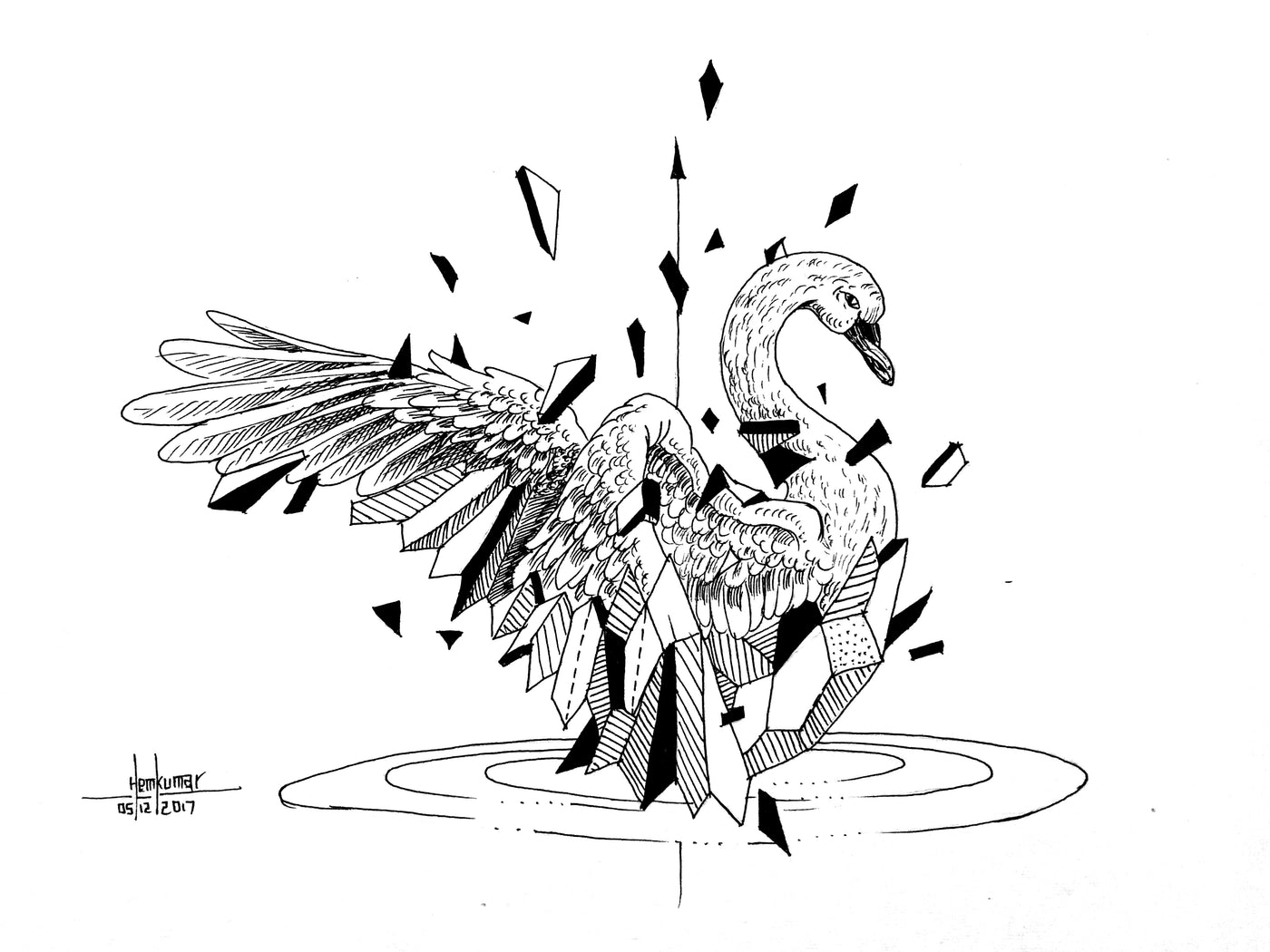 Swan