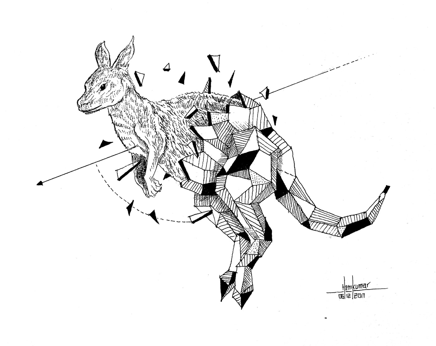 Kangaroo