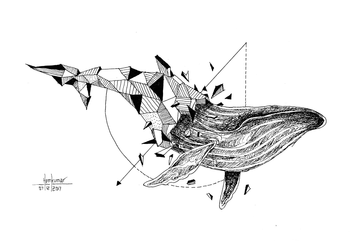 Dolphin1
