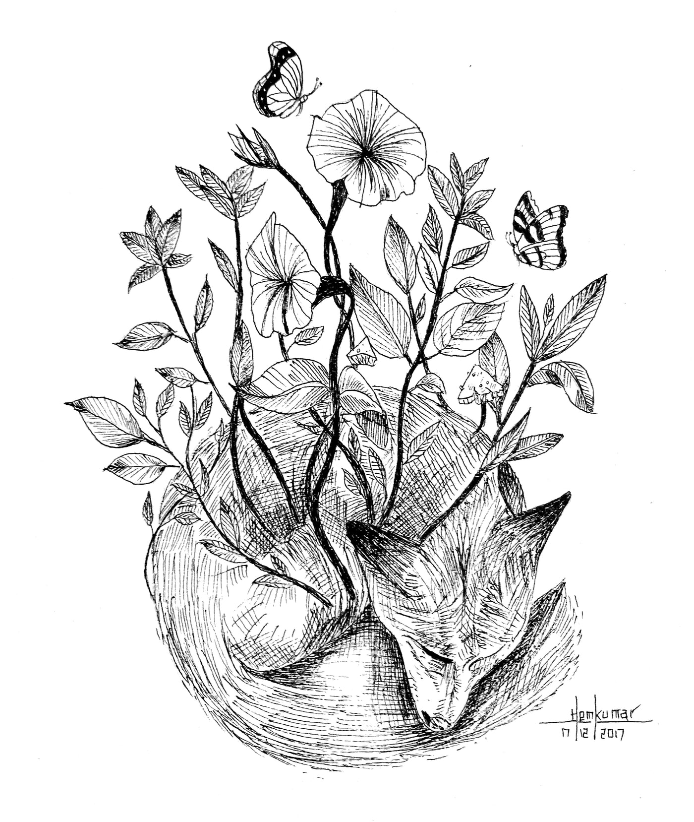 Fox