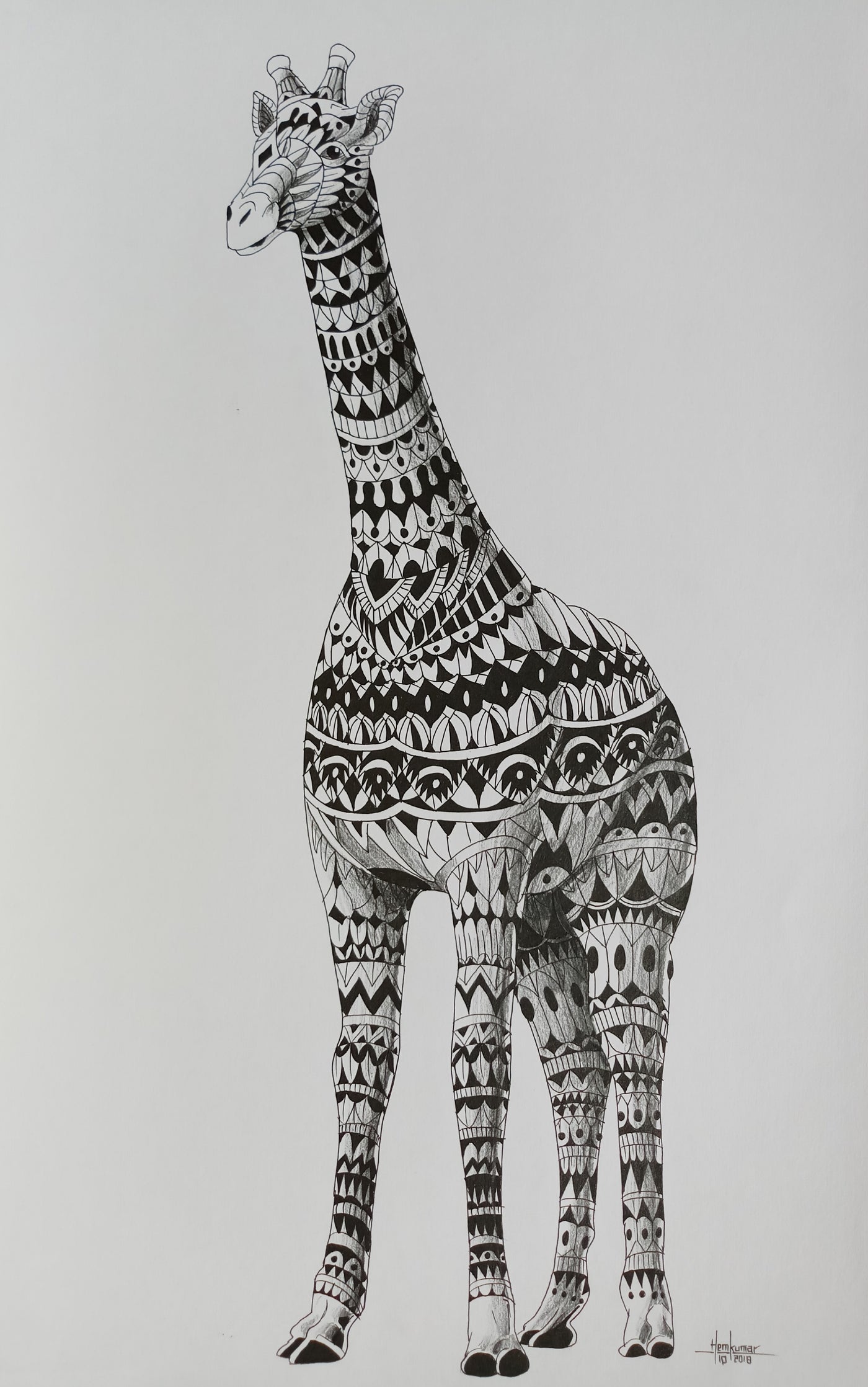 Giraffe