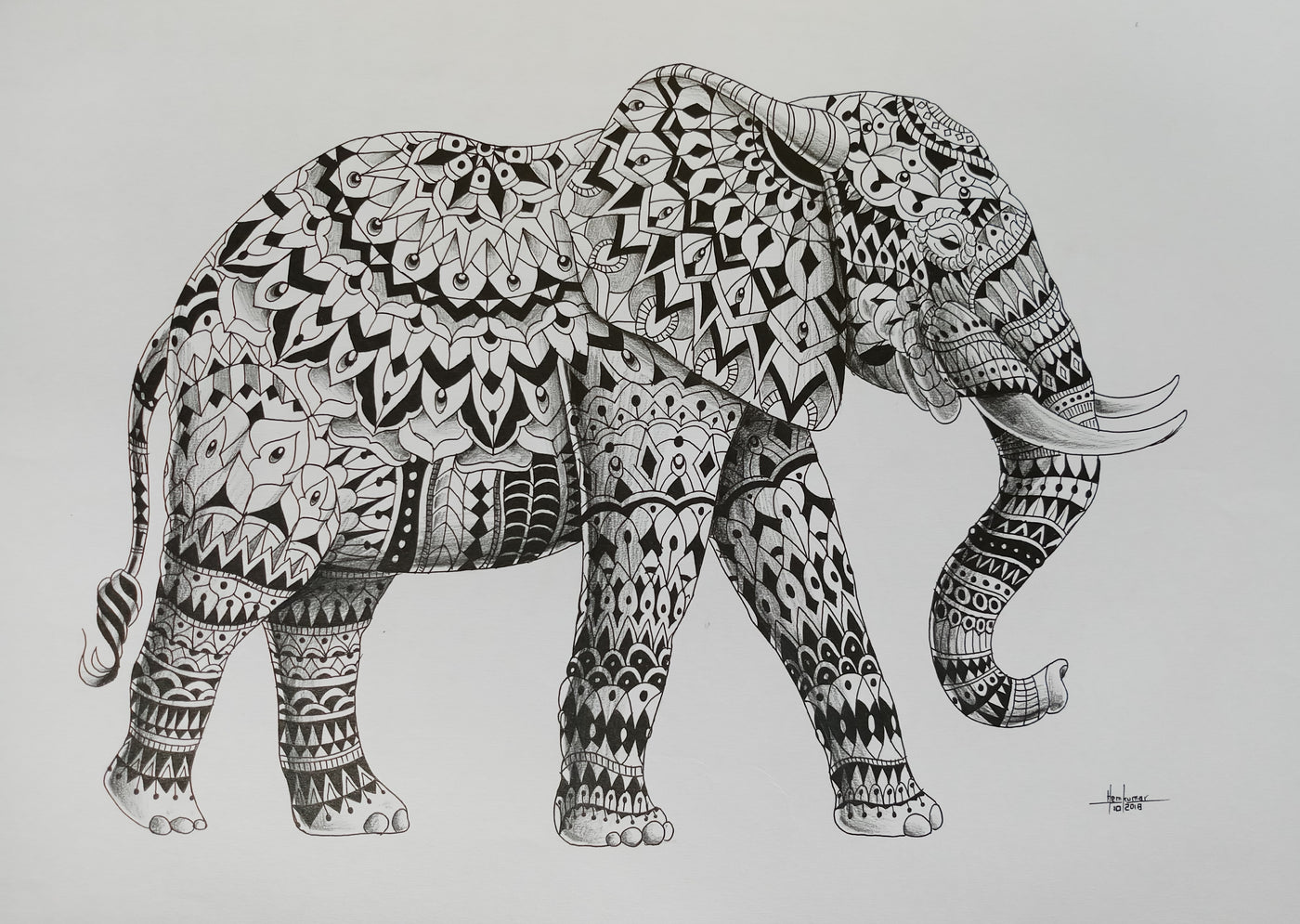 Elephant1