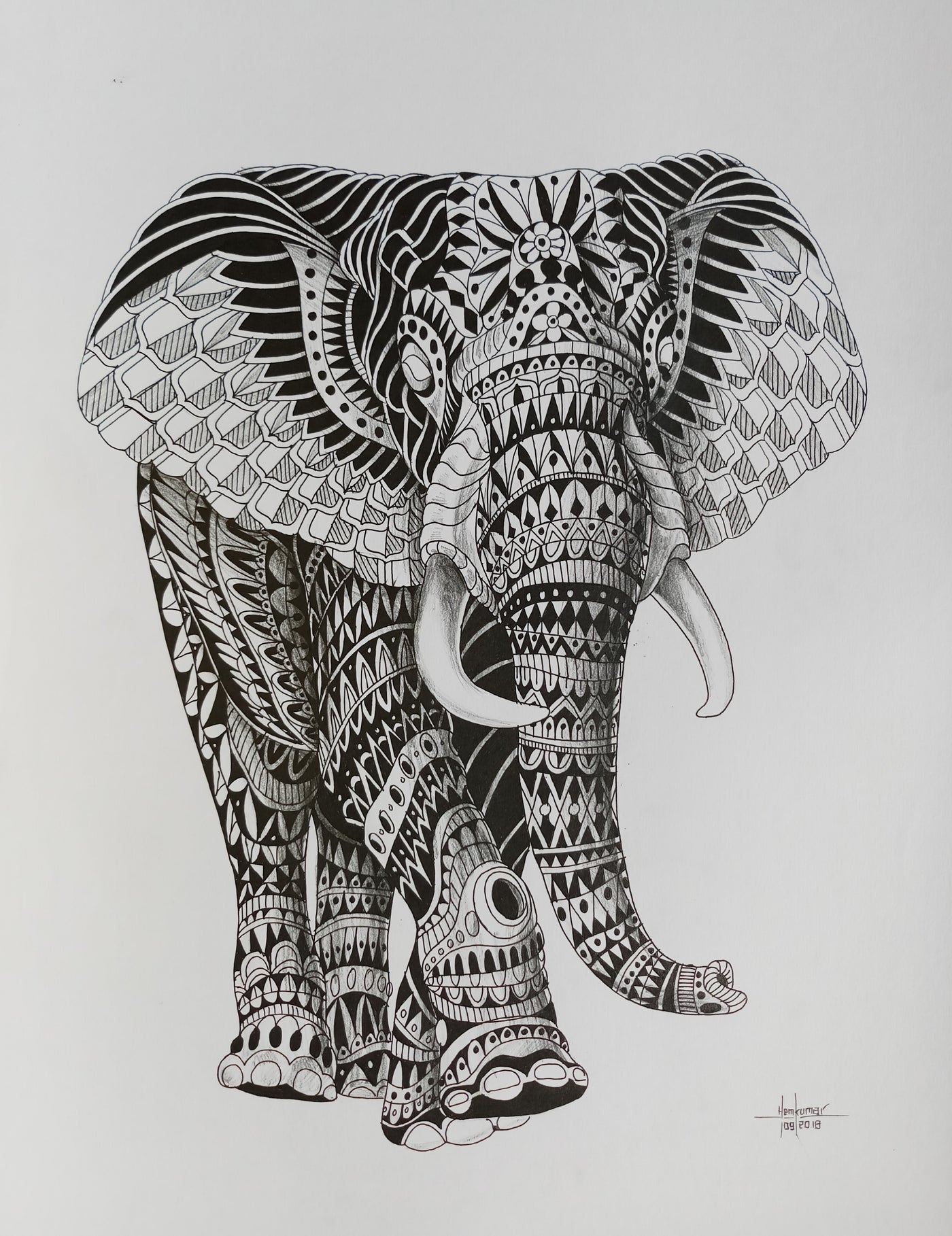 Elephant2