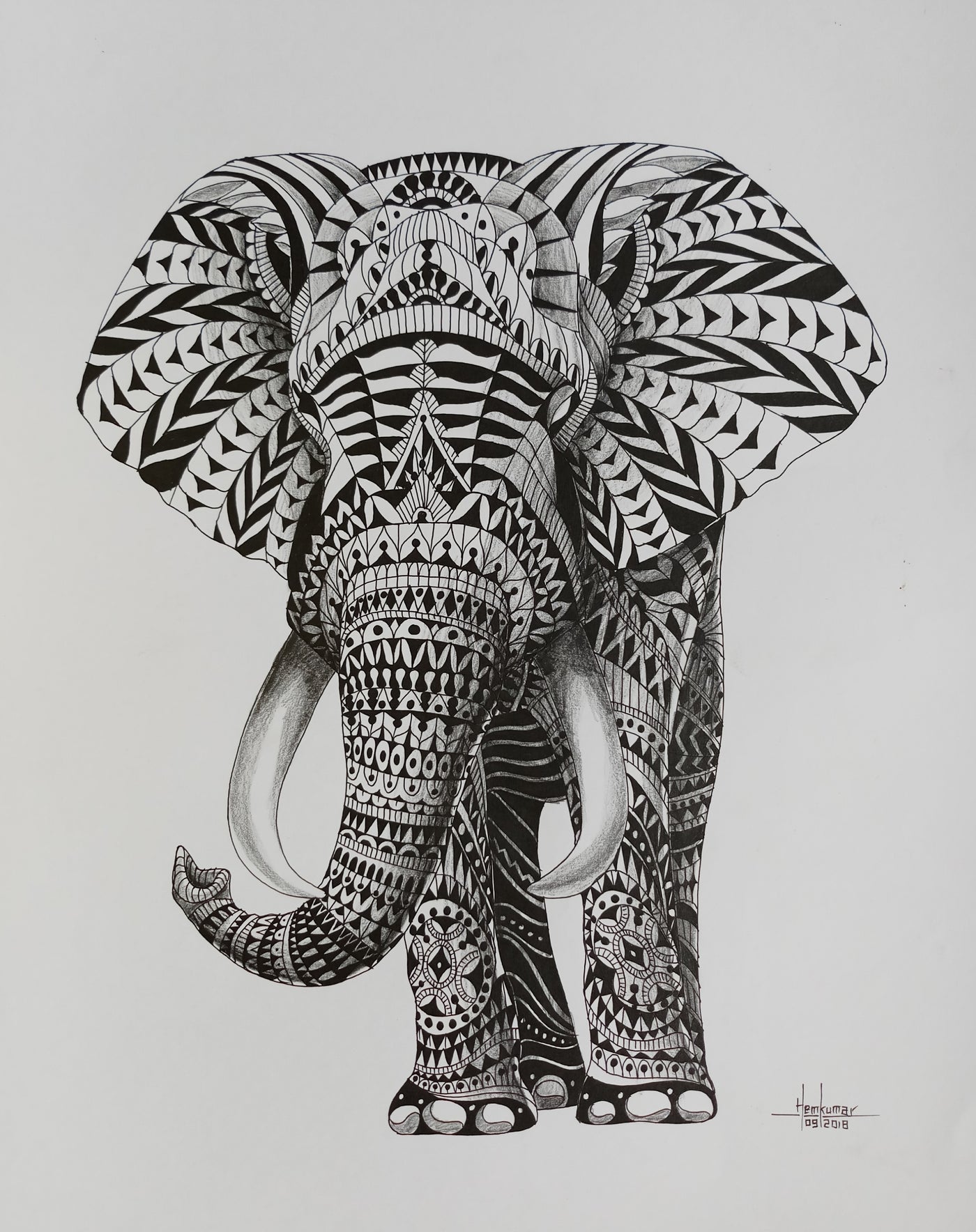 Elephant3