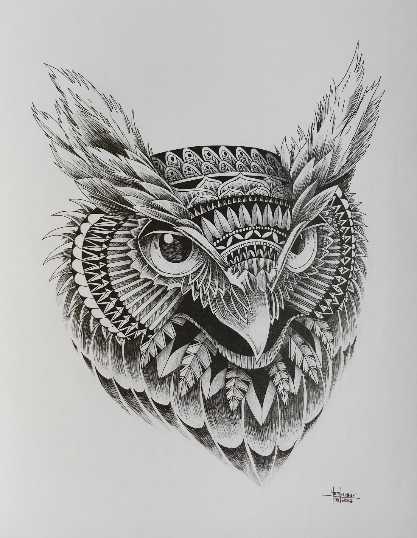 Owl1