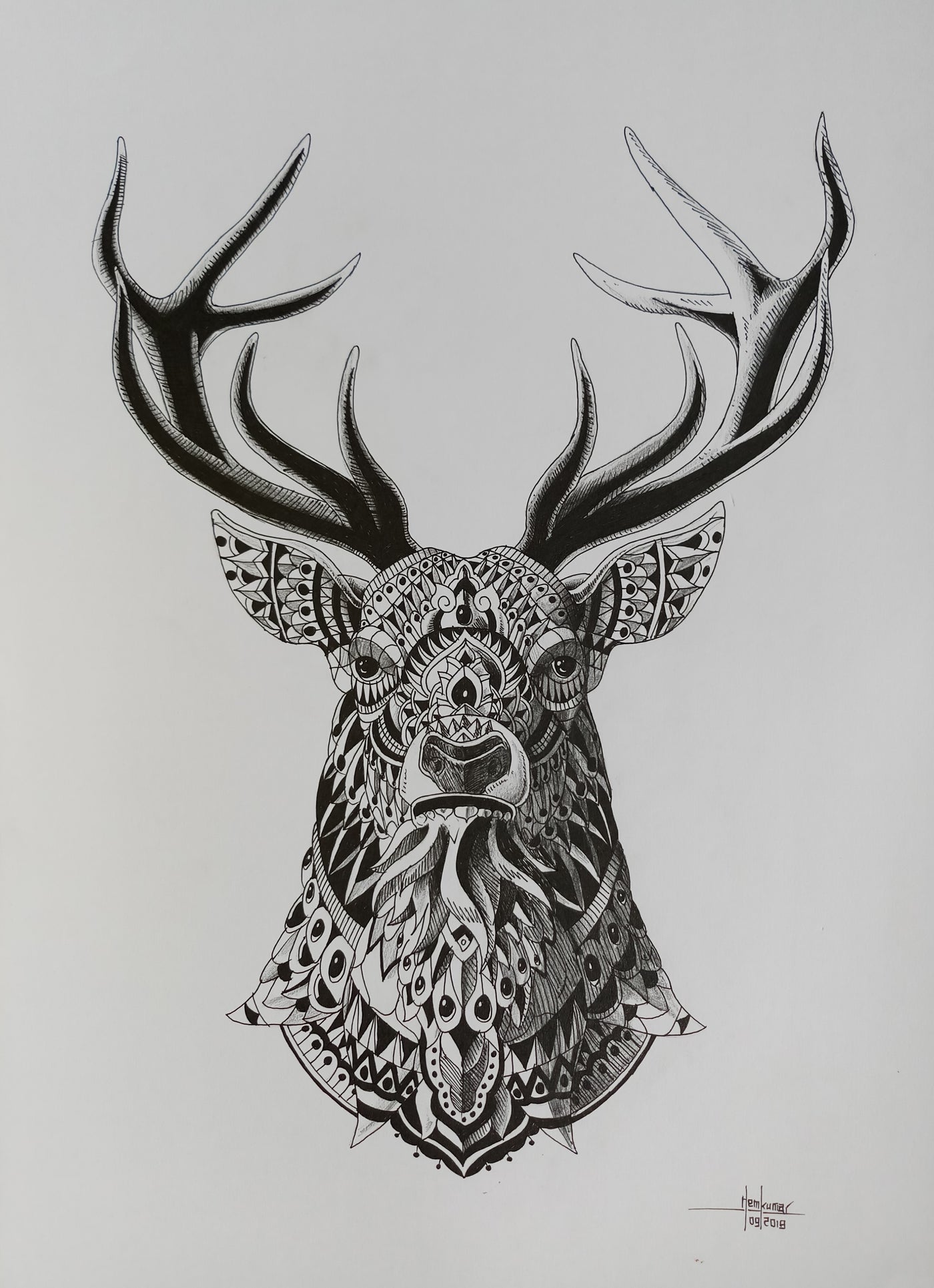 Deer