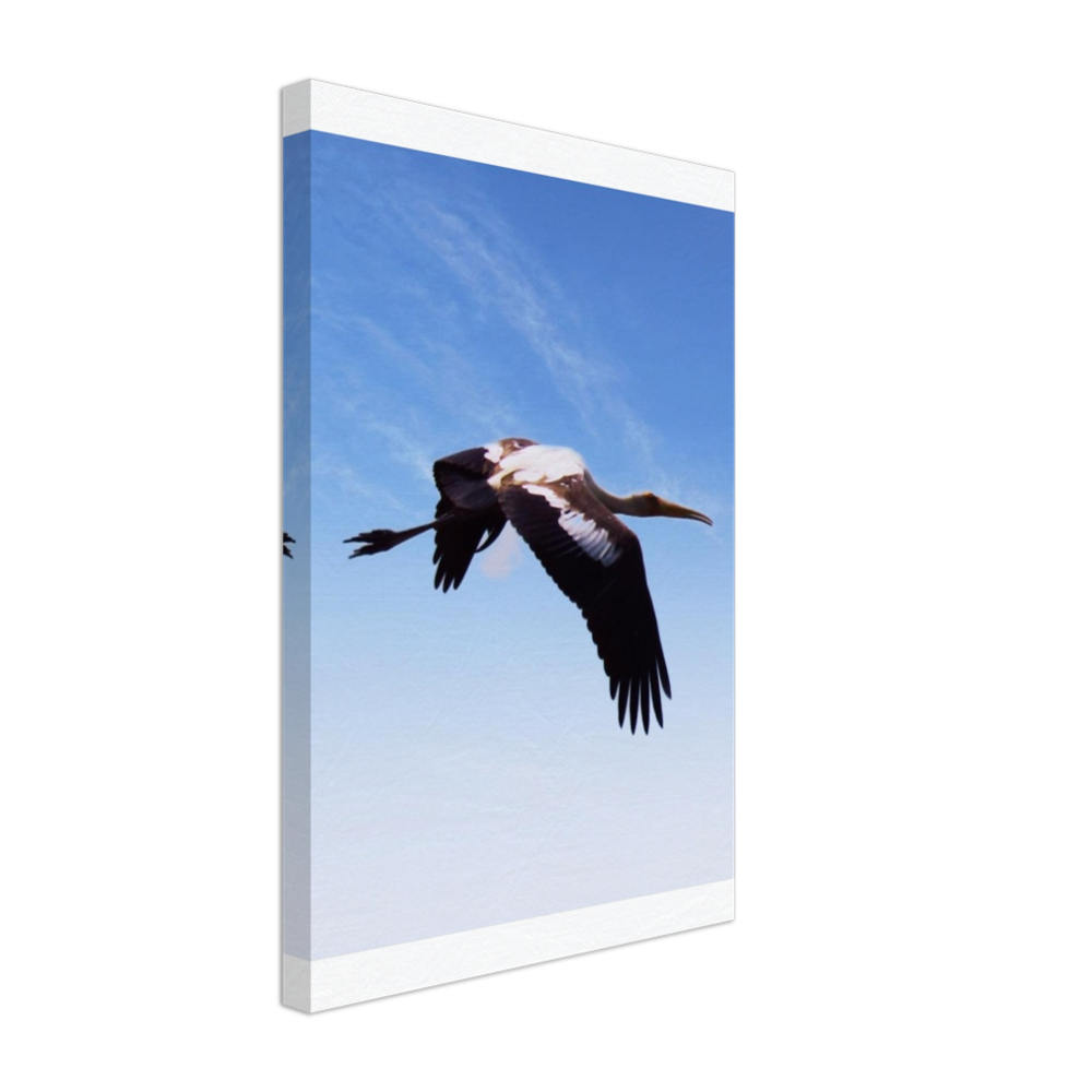 bird 5 POD