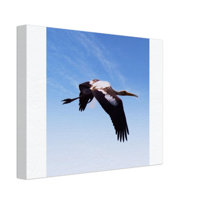 bird 5 POD