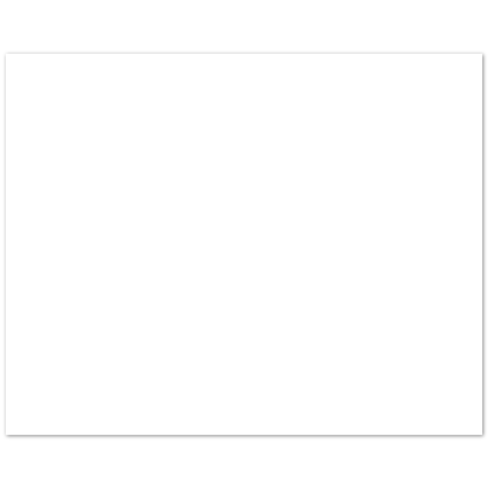 Bird 7