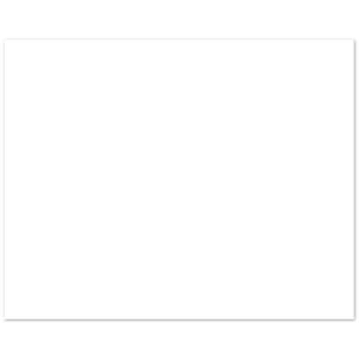Bird 7