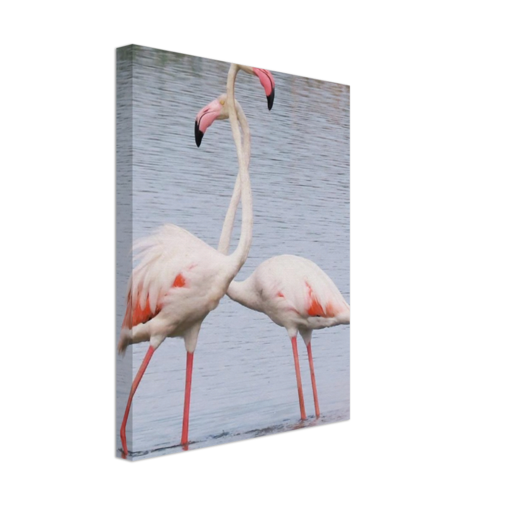 Bird3