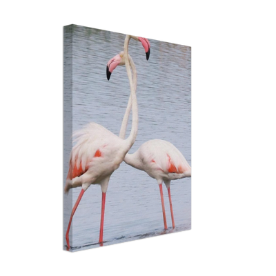 Bird3