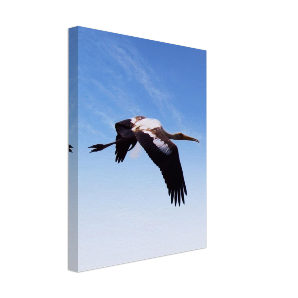 bird 5 POD