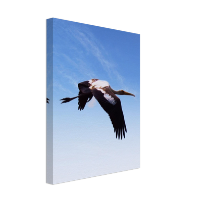 bird 5 POD