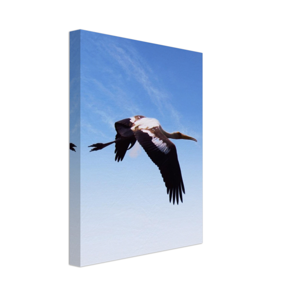 bird 5 POD