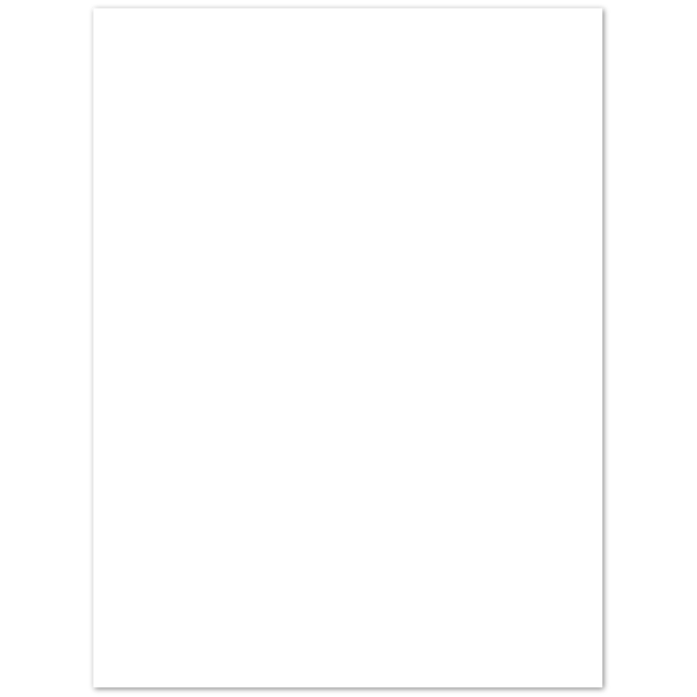Bird 7