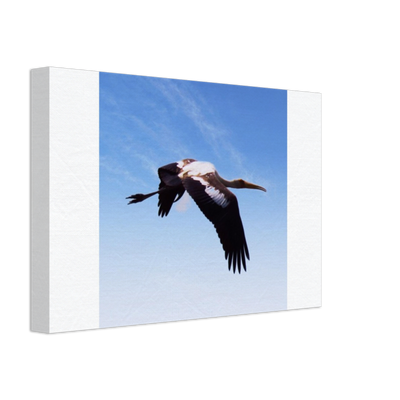 bird 5 POD