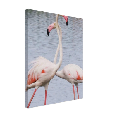 Bird3