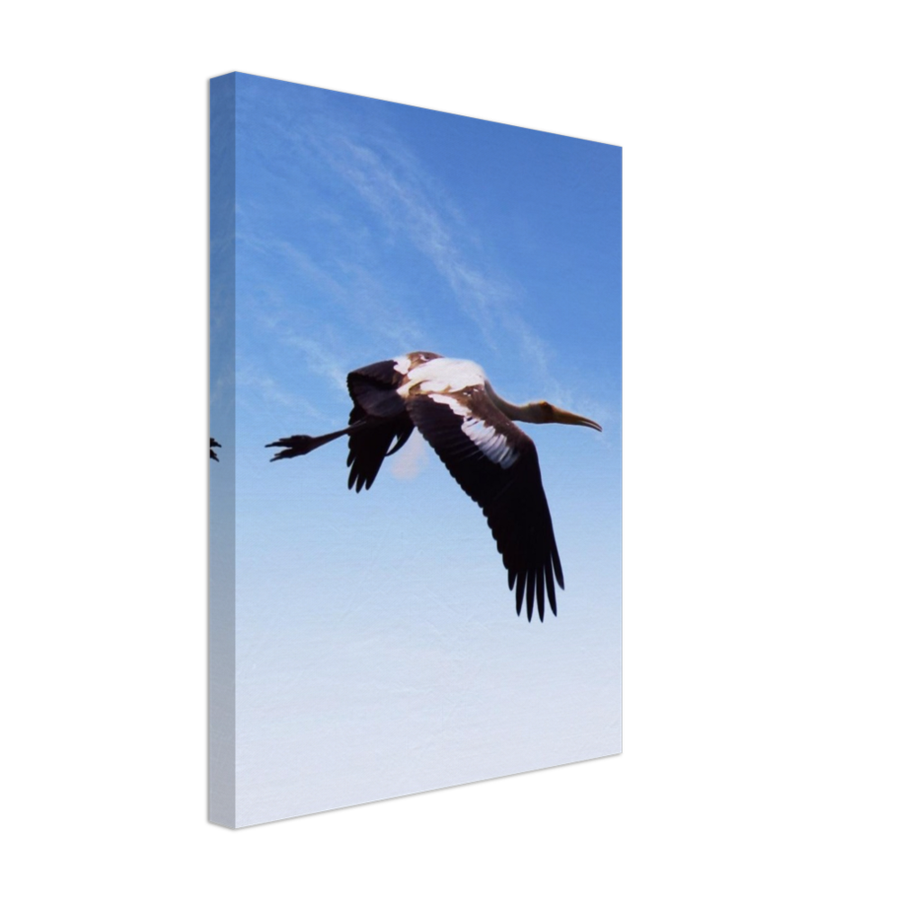 bird 5 POD