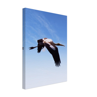 bird 5 POD