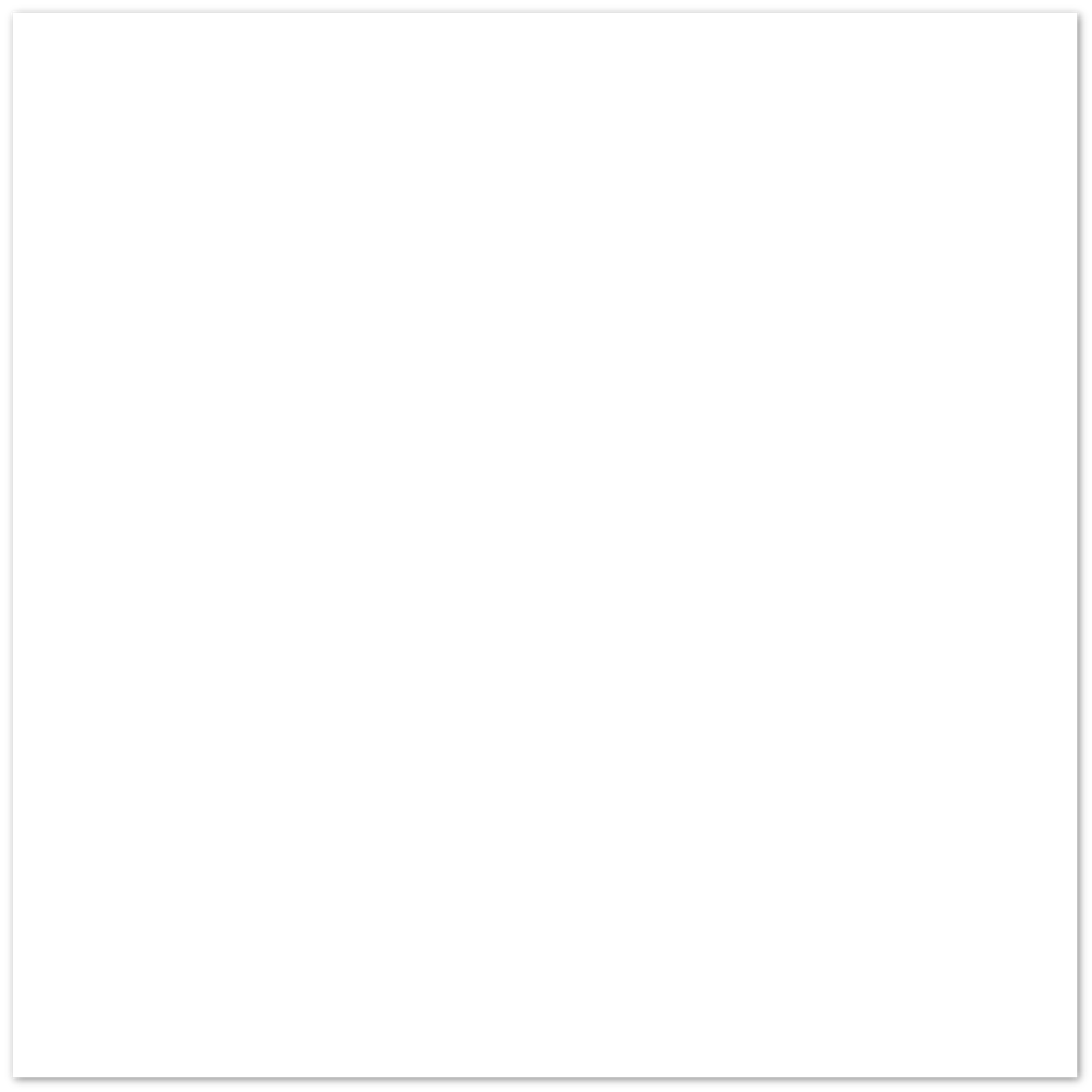 Bird 7