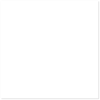 Bird 7