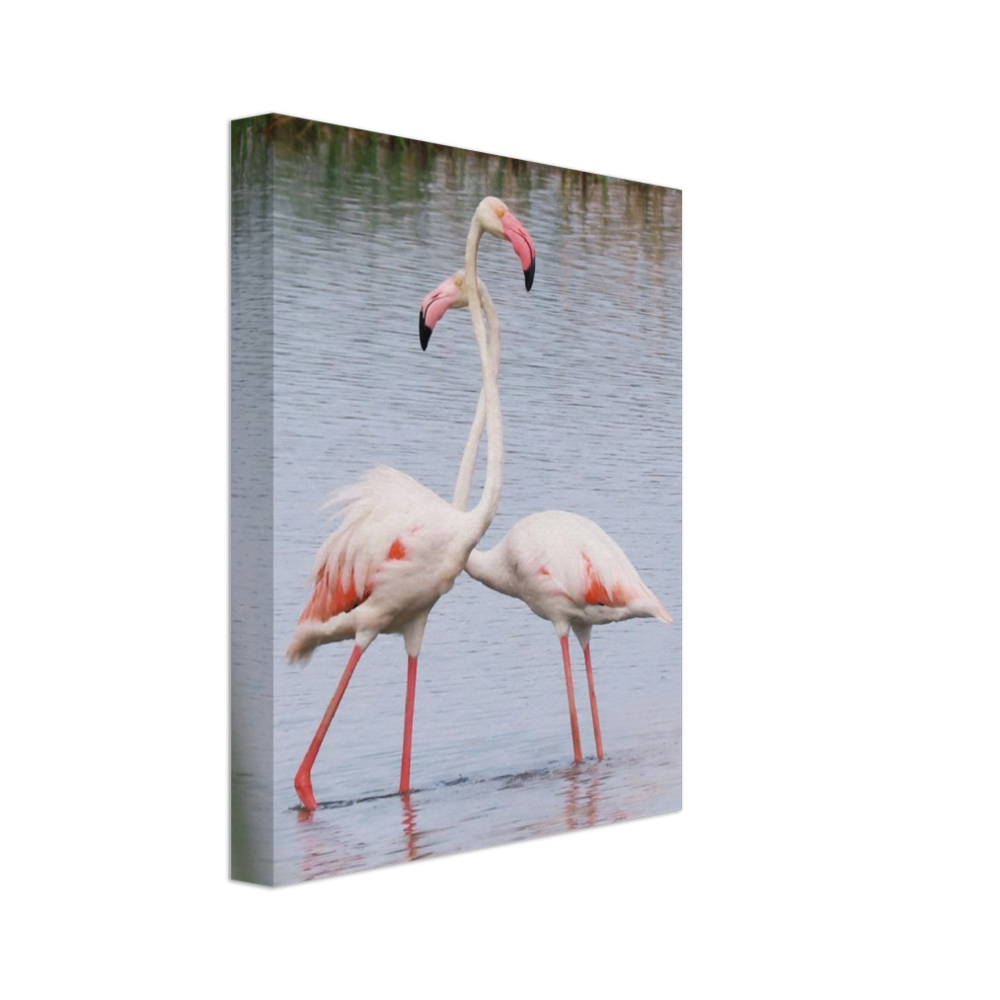 Bird3