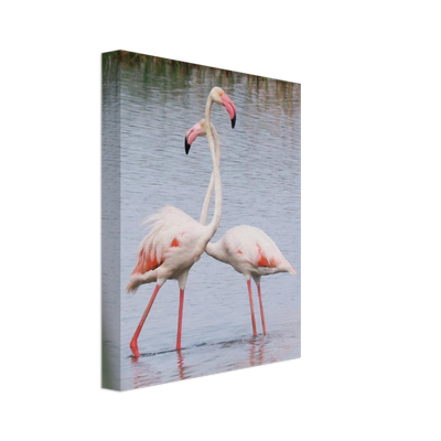 Bird3