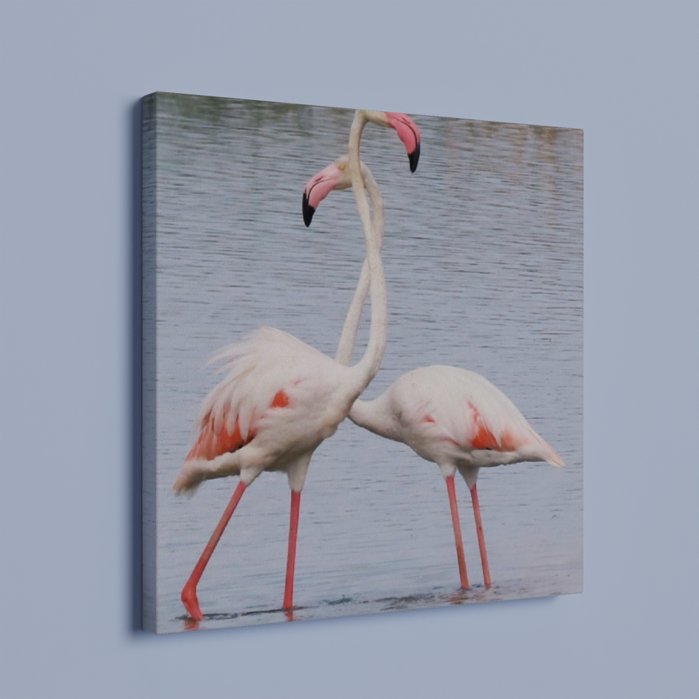 Bird3